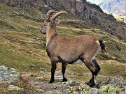 57 Io sono il capofamiglia